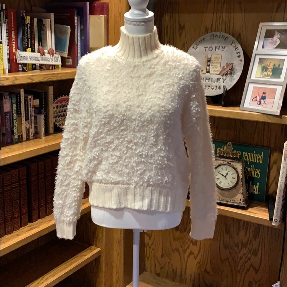 Express turtleneck